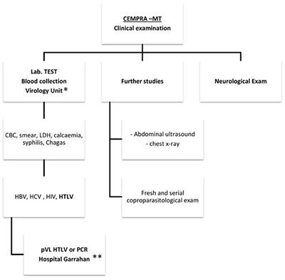 Making Visible HTLV Infection in a Non-endemic Area of Argentina